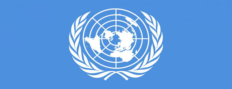 The UN General Assembly adopts Resolution on ODR
